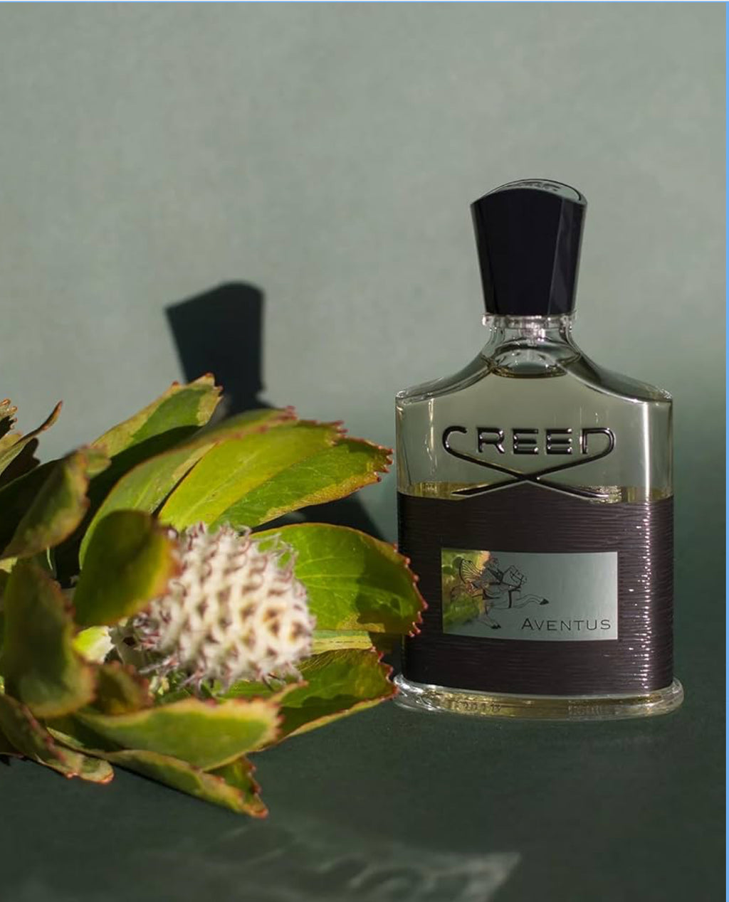 Creed Aventus, Men's Luxury Cologne, Dry Woods, Fresh & Citrus Fruity 3.3oz/100ml